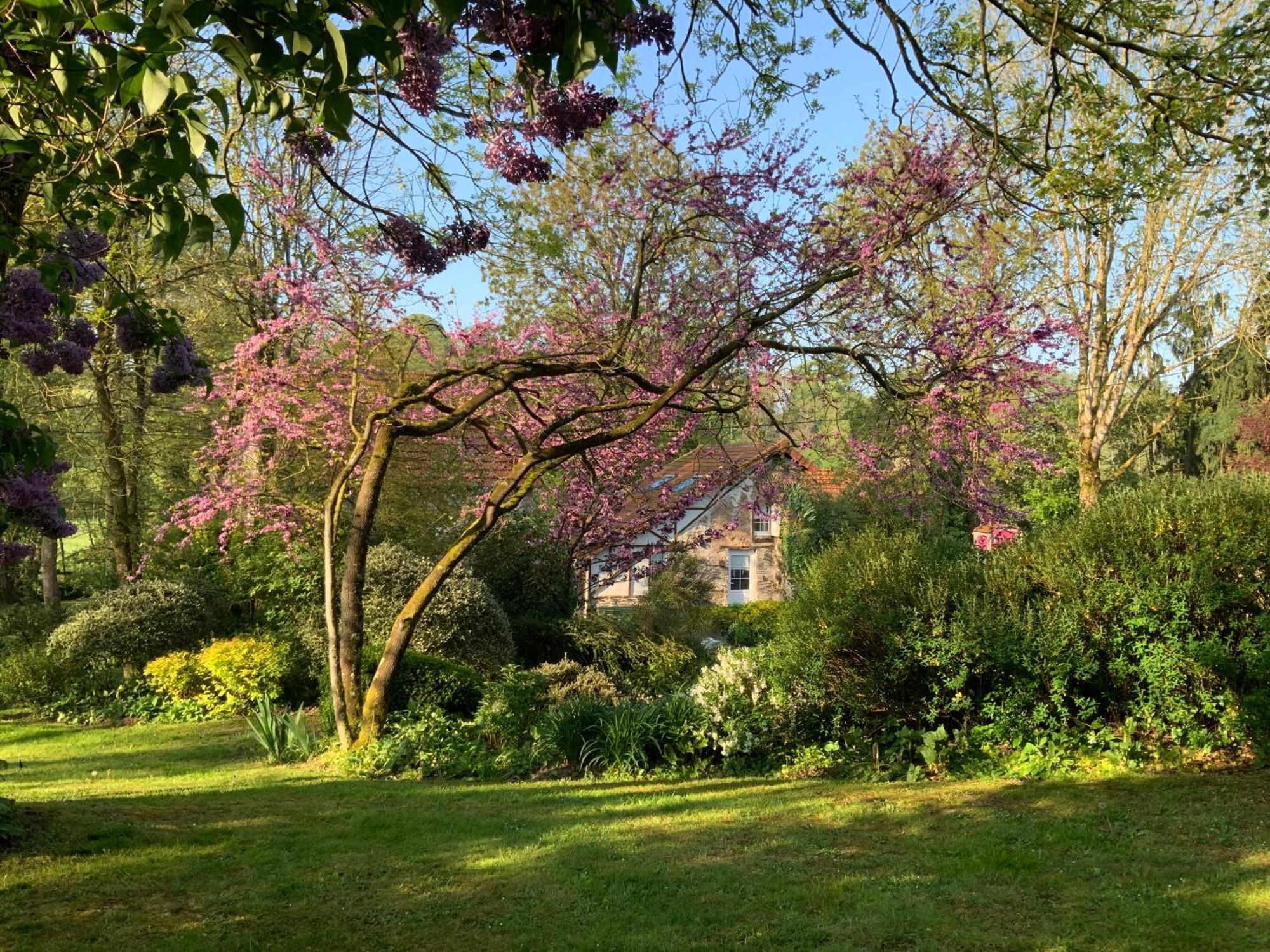 Bed and Breakfast Le Moulin De La Castellerie Moon-sur-Elle Exteriér fotografie